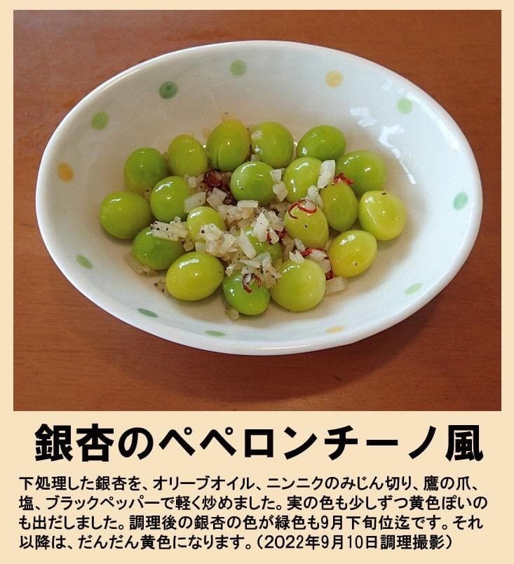 2025年新物 久寿 銀杏 ぎんなん 祖父江産 3L 4kg