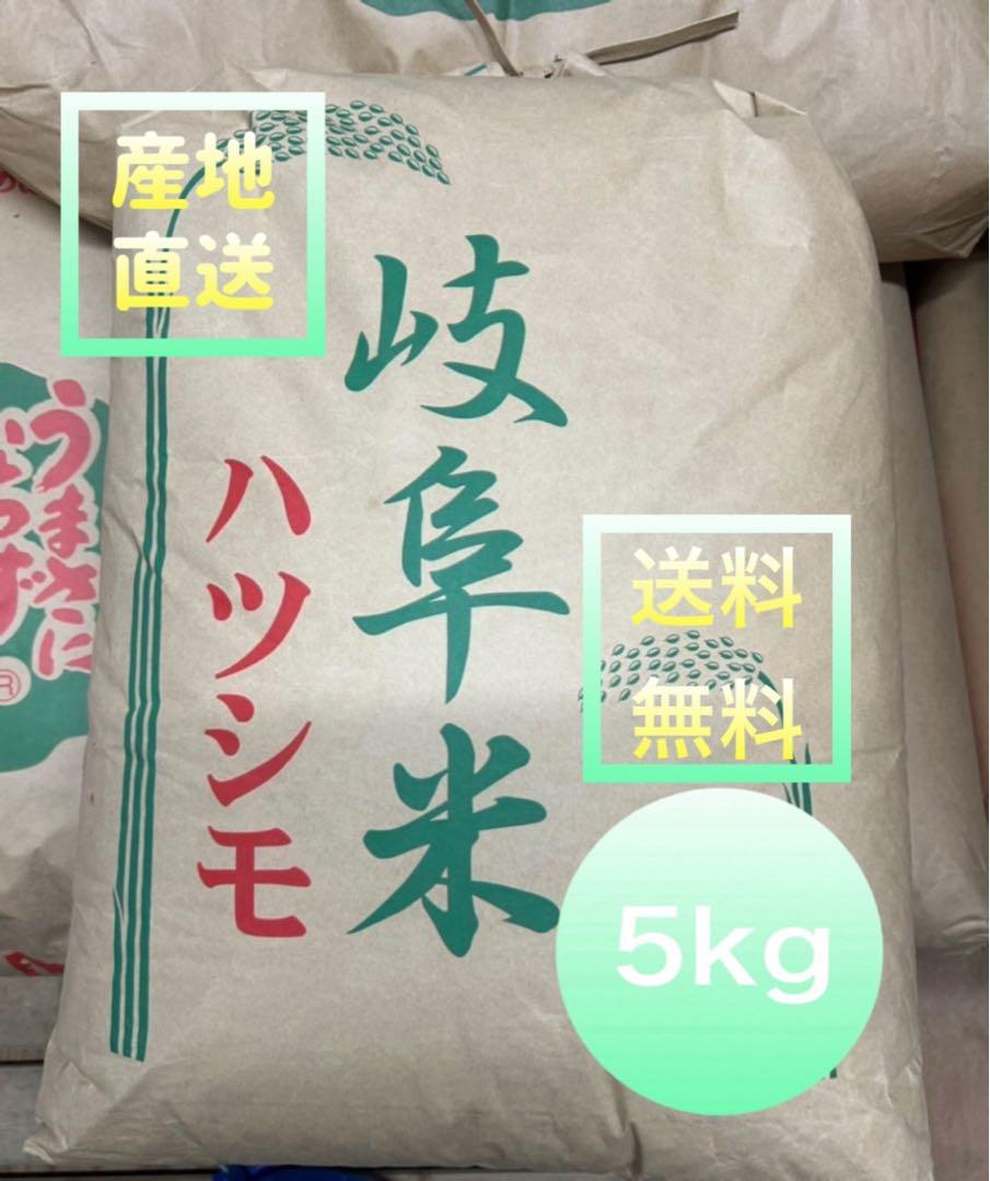 岐阜県産　ハツシモ 1等級米5キロ