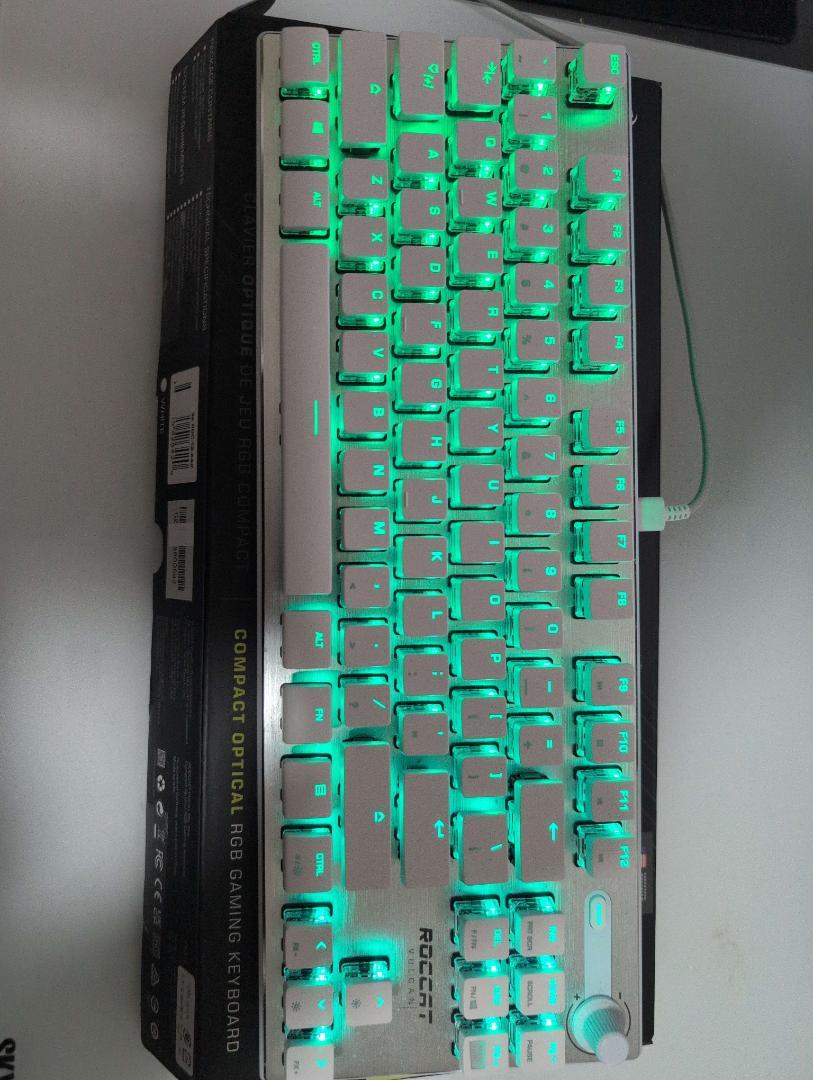[使用期間1か月]　ROCCAT VULCAN TKL Pro 英語配列