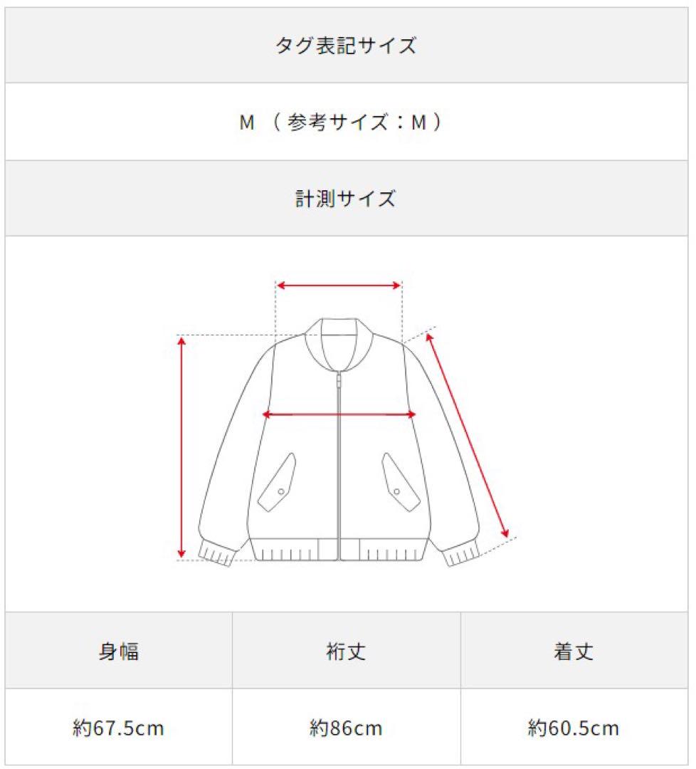 Polo by Ralph Lauren ラルフローレン マルチポケットダウン