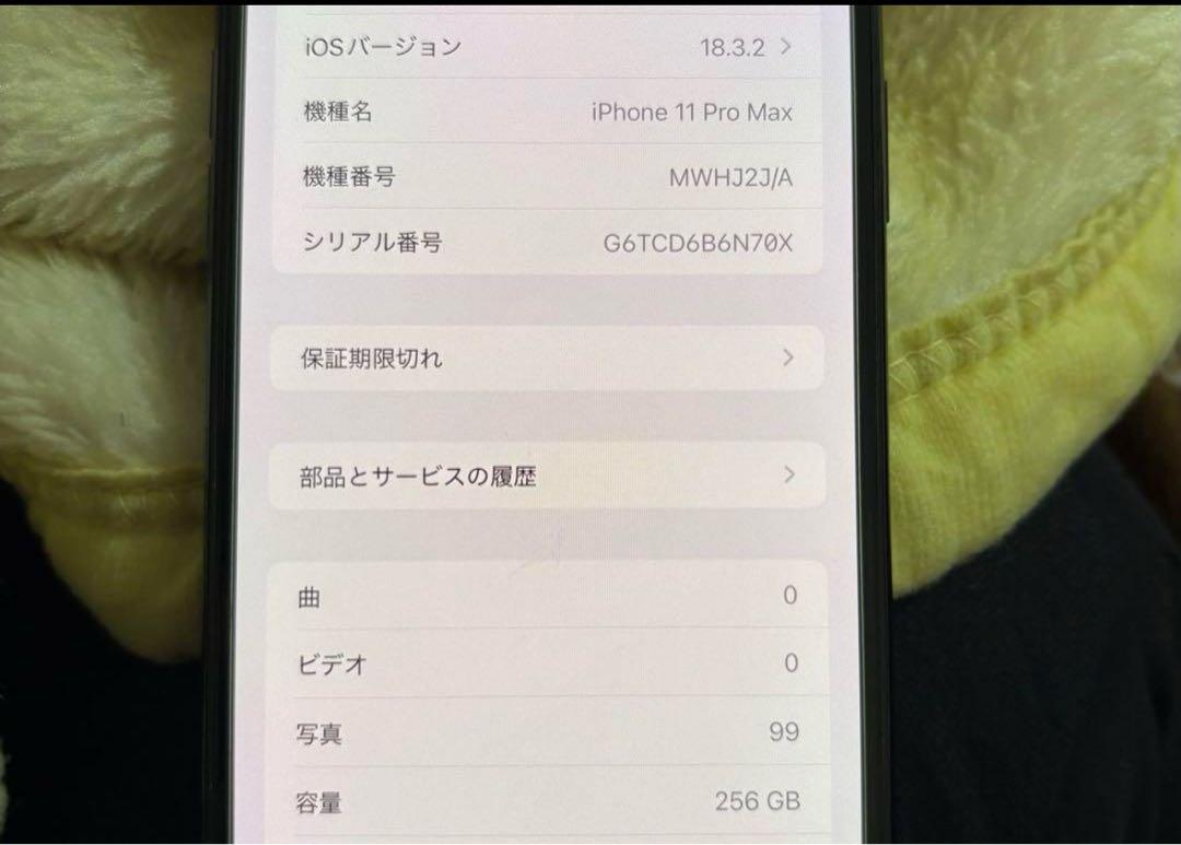 不安専用 iPhone11ProMax スペースグレイ 256GB 17点セット