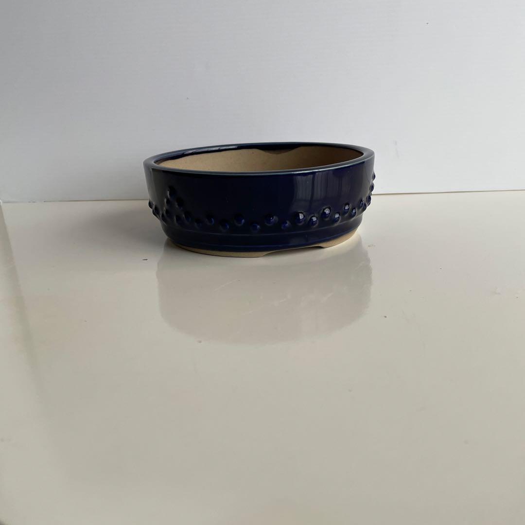 盆栽鉢　丸藤製陶