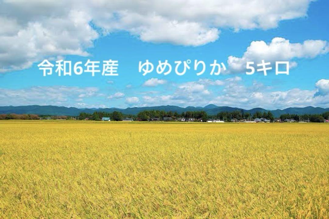 令和6年産　北海道産ゆめぴりか　5キロ