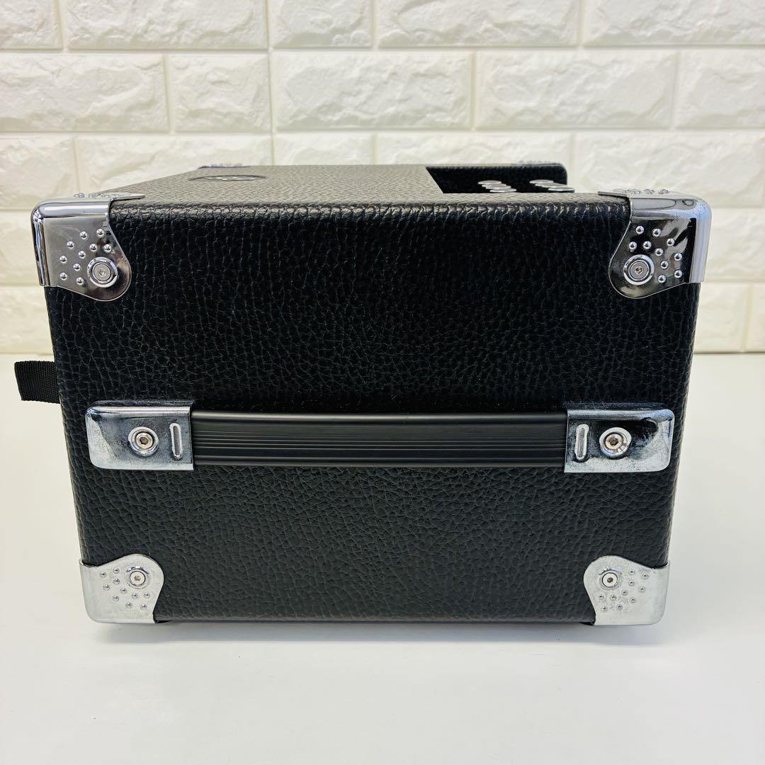BASS BG-100