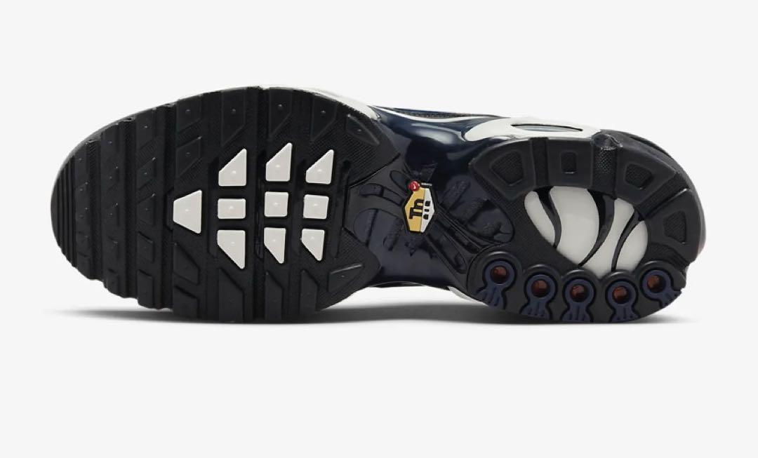 靴 NIKE MAX PLUS SE 27cm