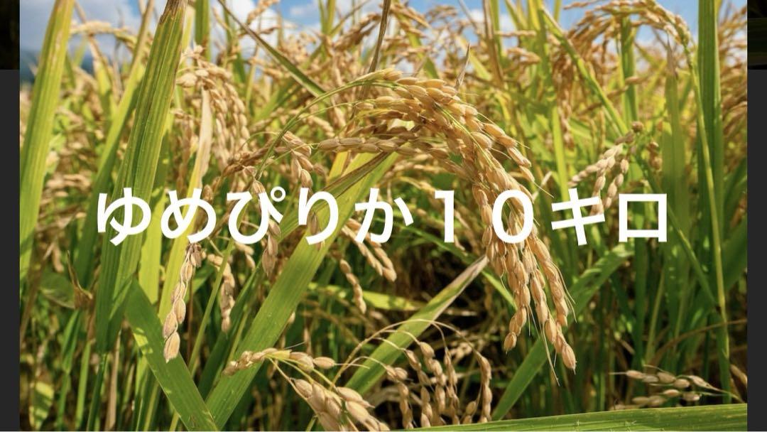 ゆめぴりか　北海道産　米　10kg