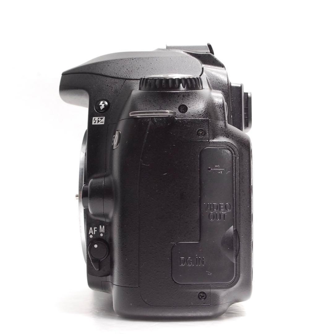 Nikon