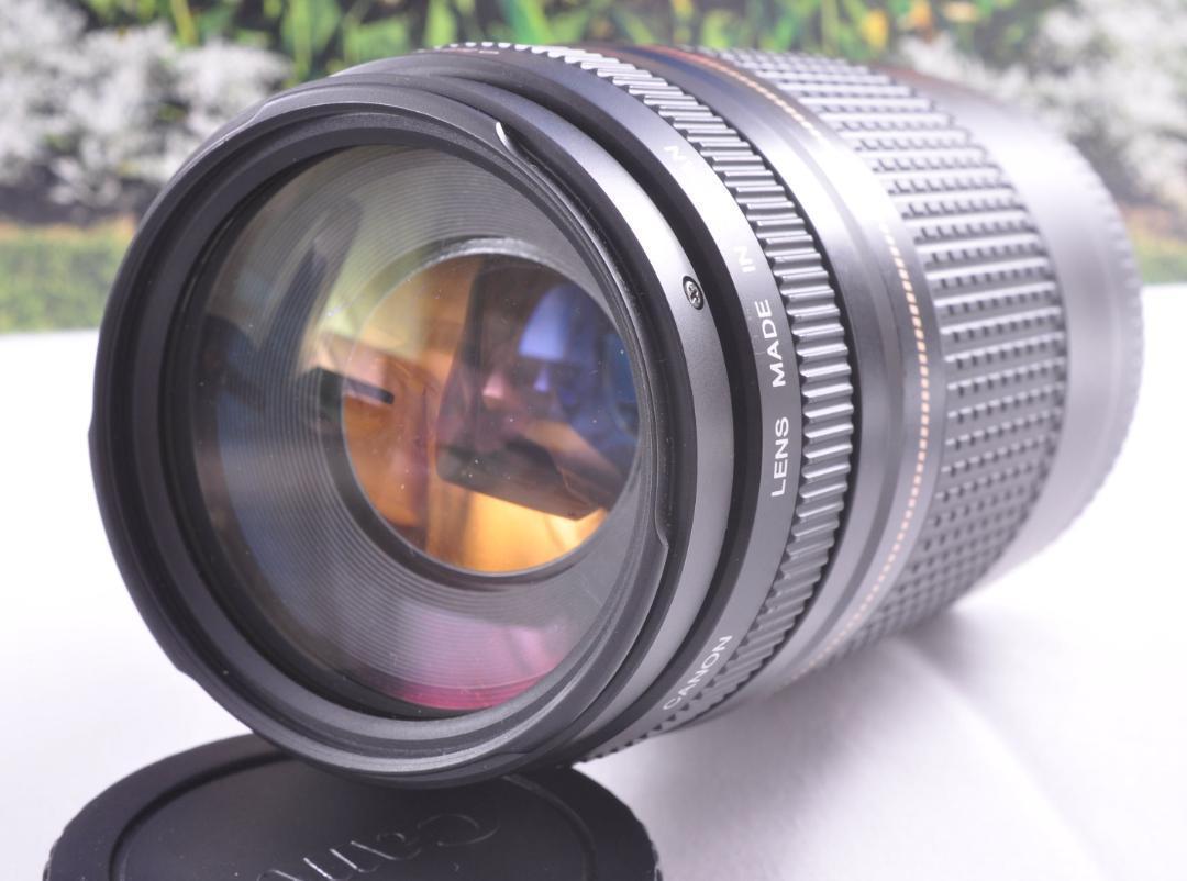 Canon キヤノン 望遠レンズ EF75-300mm 永久保存 瞬間激写 #３