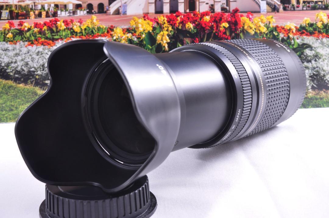 Canon キヤノン 望遠レンズ EF75-300mm 永久保存 瞬間激写 #３