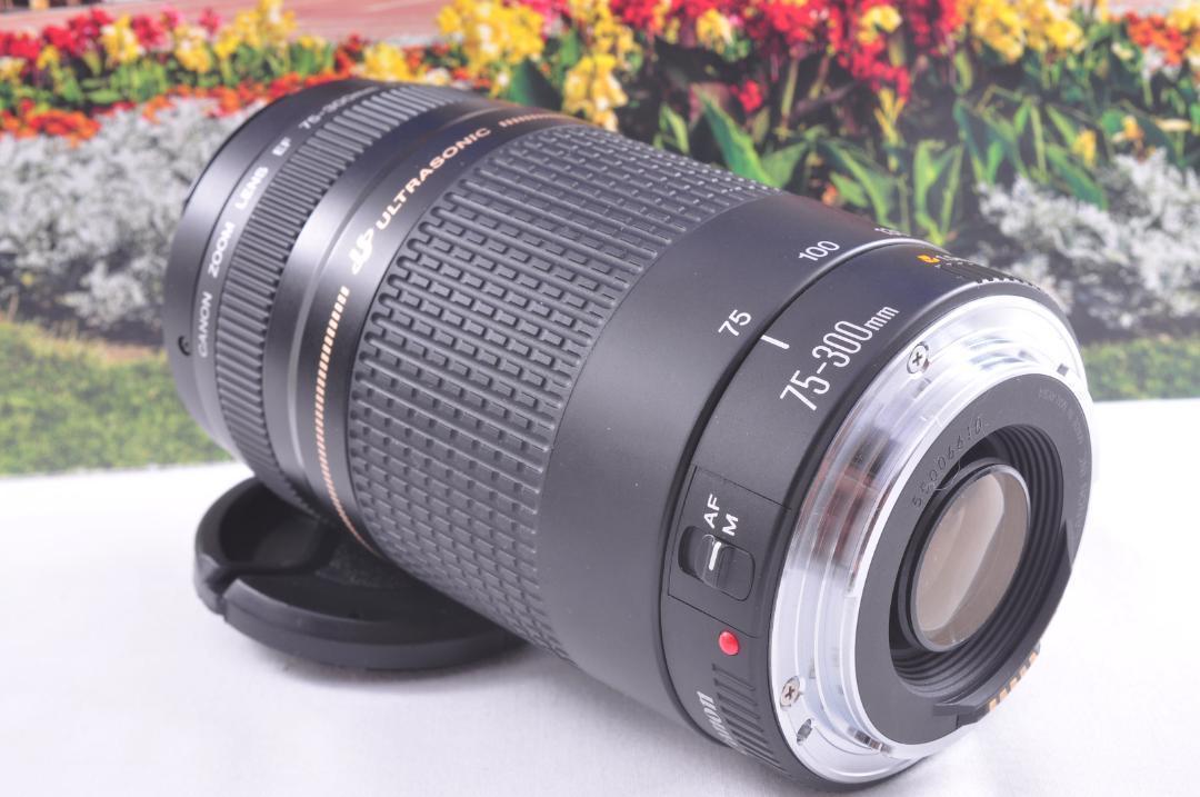 Canon キヤノン 望遠レンズ EF75-300mm 永久保存 瞬間激写 #３