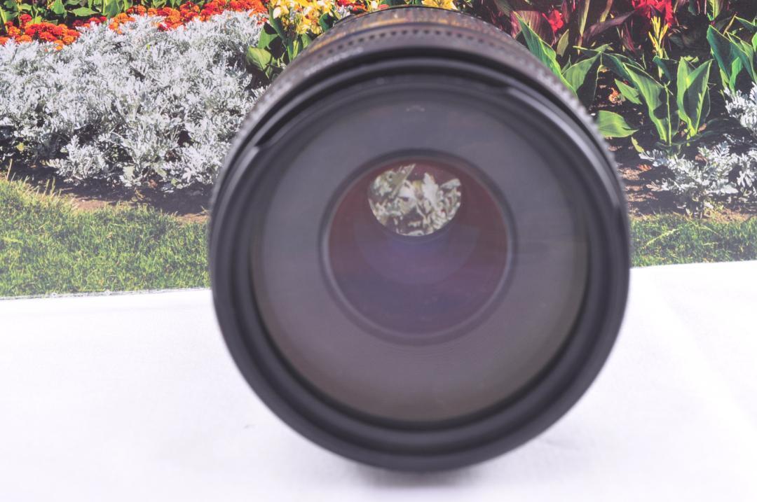 Canon キヤノン 望遠レンズ EF75-300mm 永久保存 瞬間激写 #３