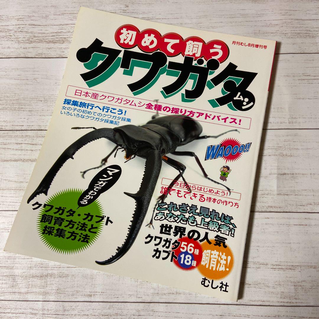 月刊むし8月増刊号『初めて飼うクワガタムシ』むし社 - メルカリ