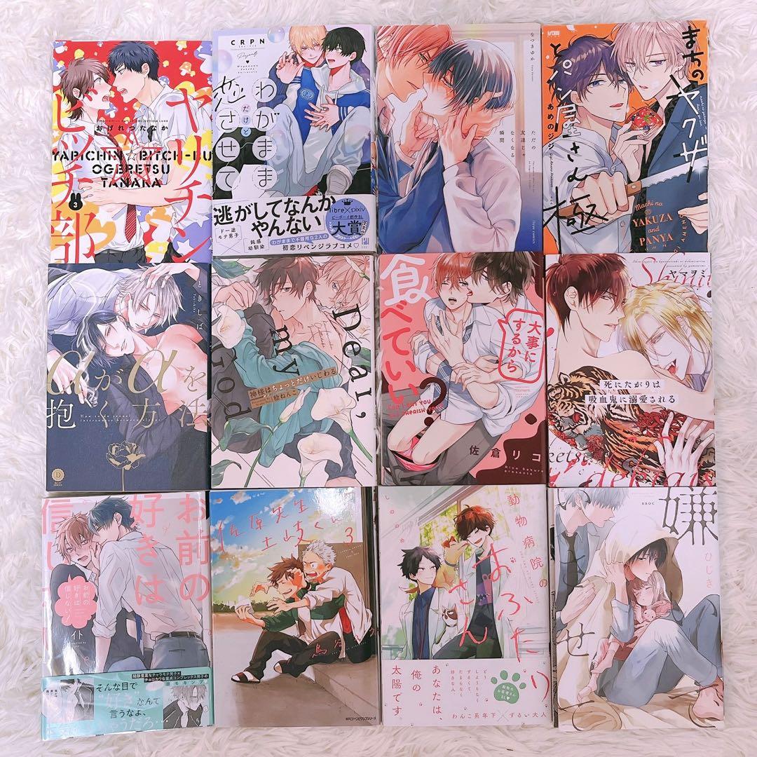 BL本まとめ売り47冊(サイン本あり、バラ売り不可) BL本まとめ売り 12冊 バラ売り〇 - メルカリ