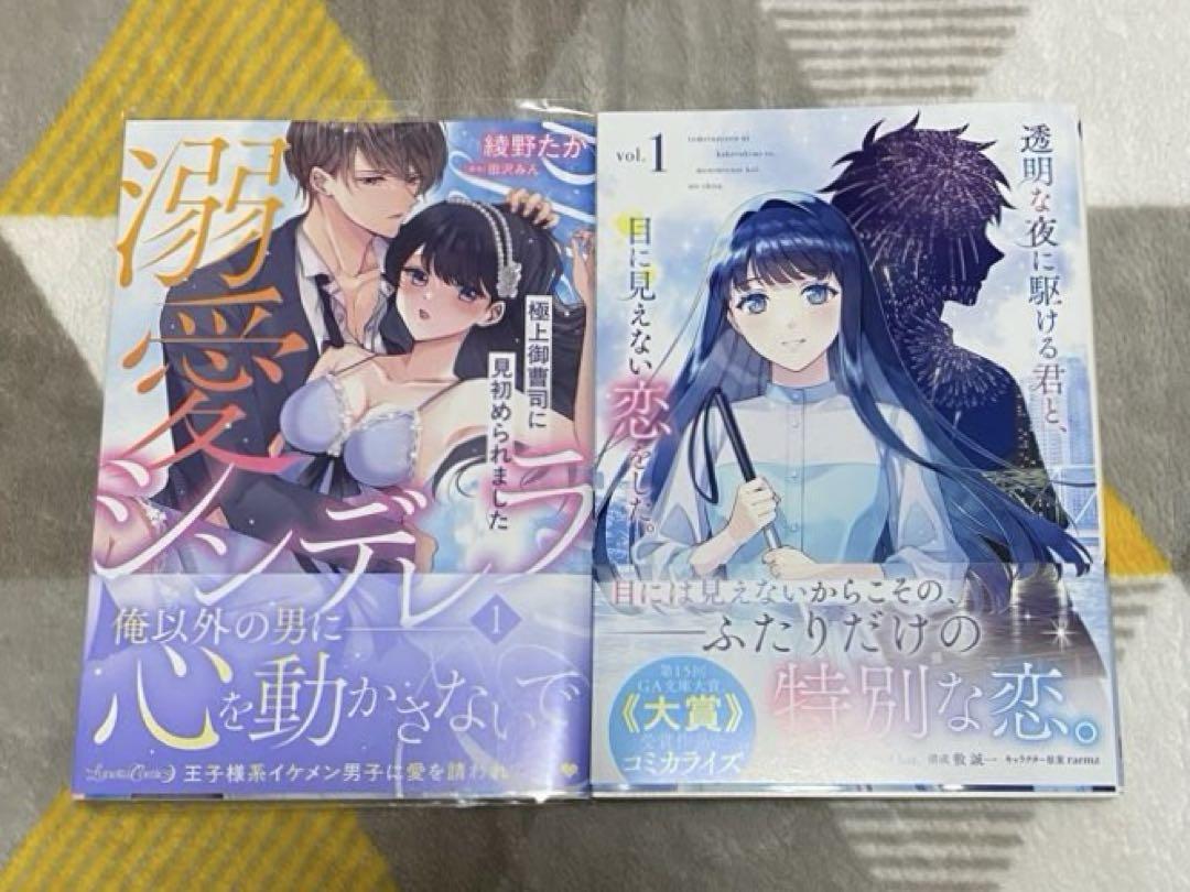 溺愛シンデレラ 1／透明な夜に駆ける君と、目に見えない恋をした。(1)