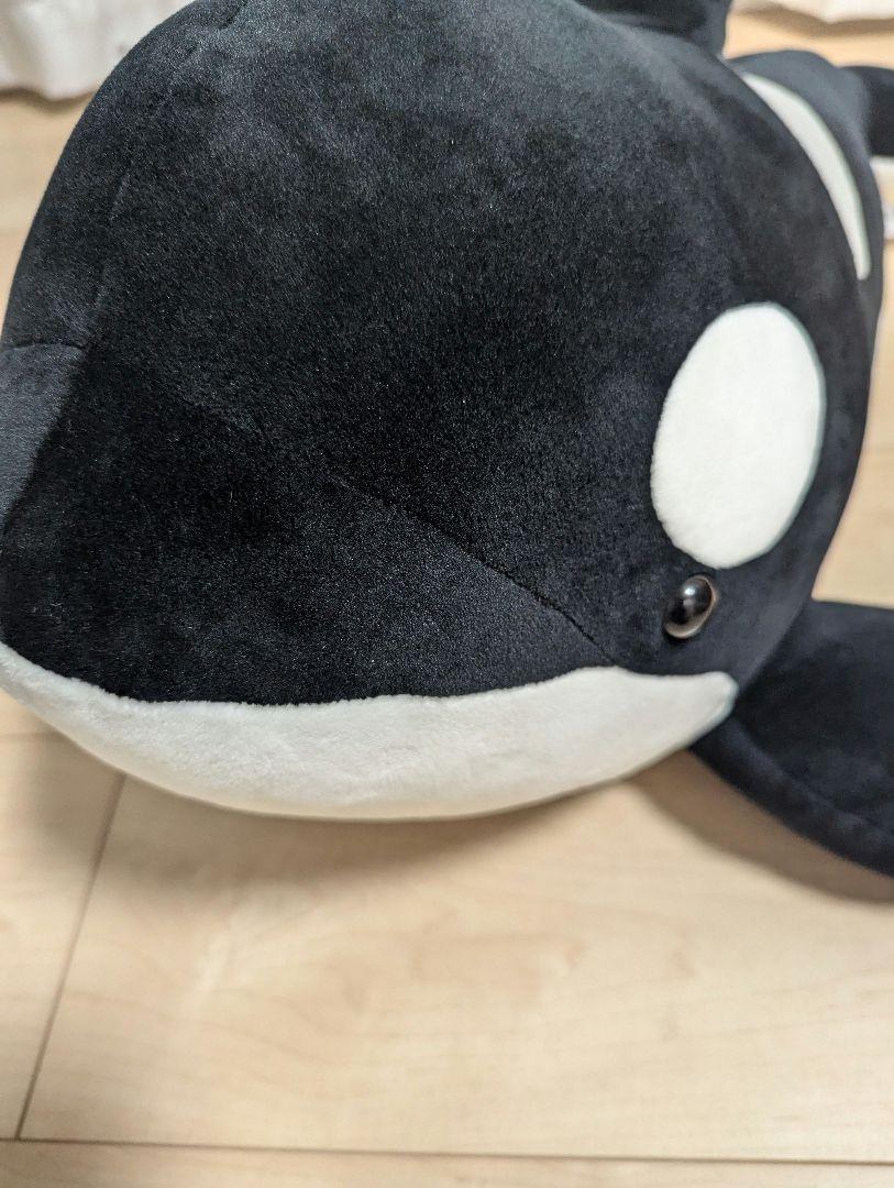 【限定】名古屋港水族館　くじ　シャチ　ぬいぐるみ　2等