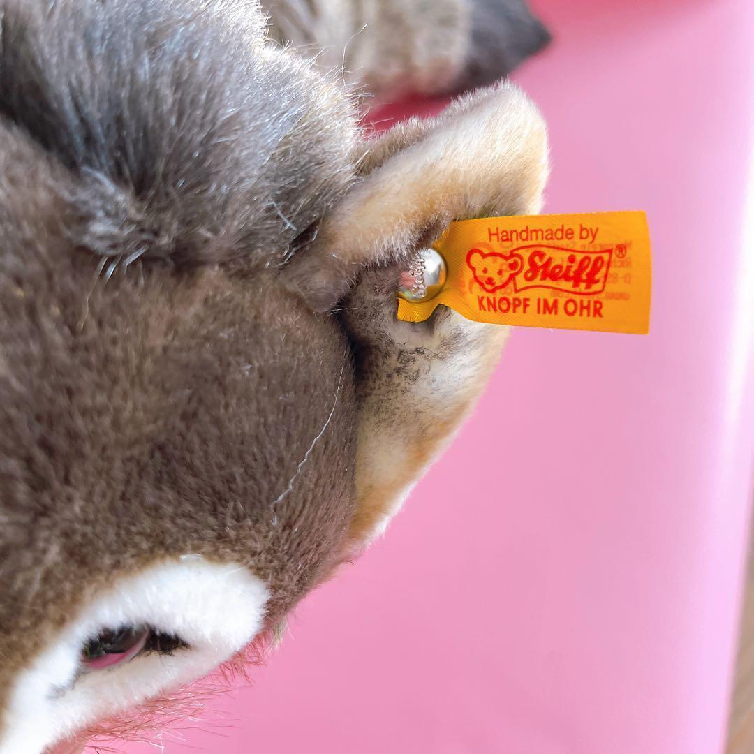 つぶらな瞳がかわいい