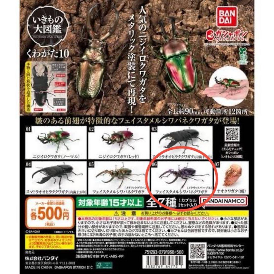 いきもの大図鑑くわがた10 フェイスタメルシワバネクワガタ