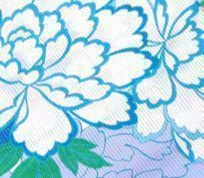 お任せ赤兵児帯つき◆最高級【綿絽浴衣】青芙蓉牡丹の古典涼しゆかた◆