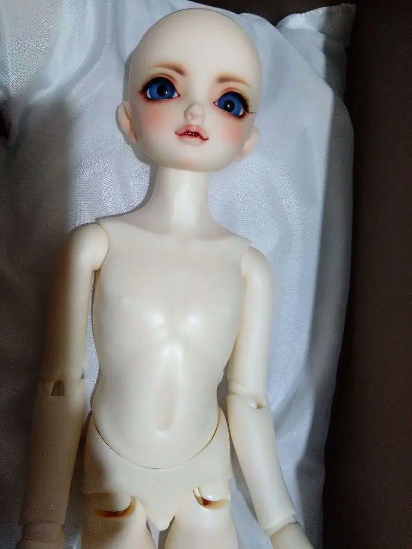 スーパードルフィーミディ本体 SDM F-55男の子ボディ く日はお得