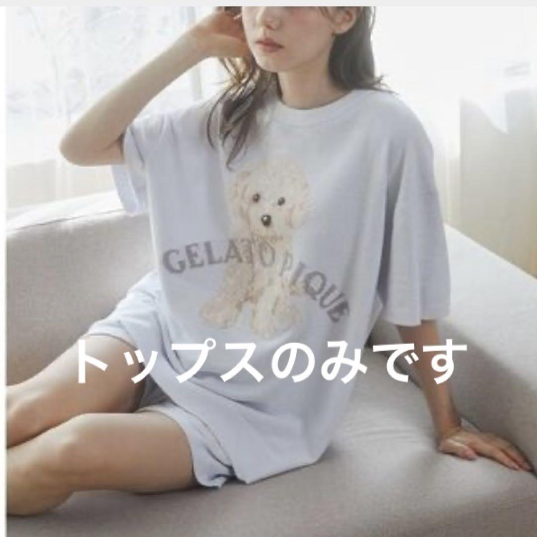 新品　国内正規品　ジェラートピケ　トイプードルジャガードプルオーバー　ブルー