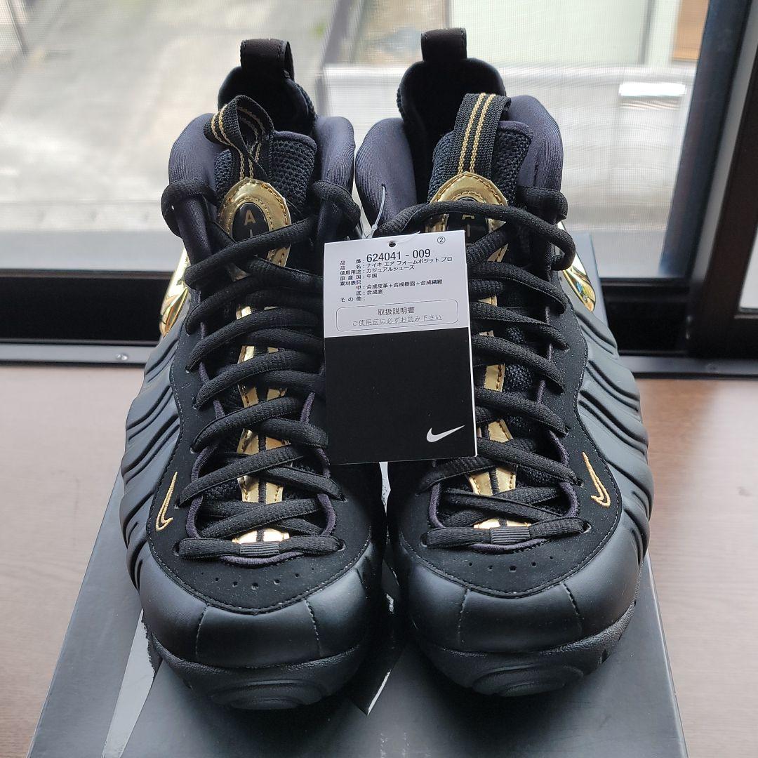 靴 NIKE AIR FORMPOSITE PRO 27.0 624041-009
