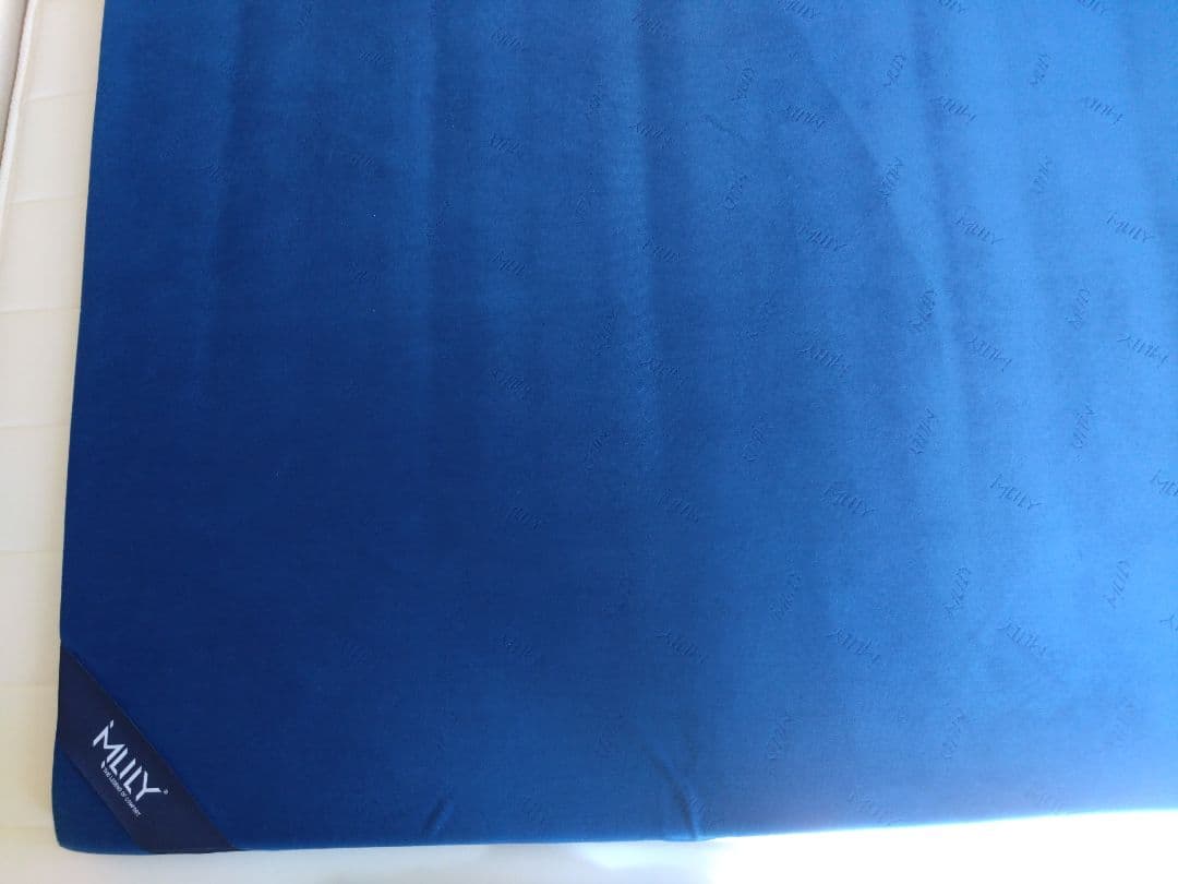 引き渡し希望 エムリリー