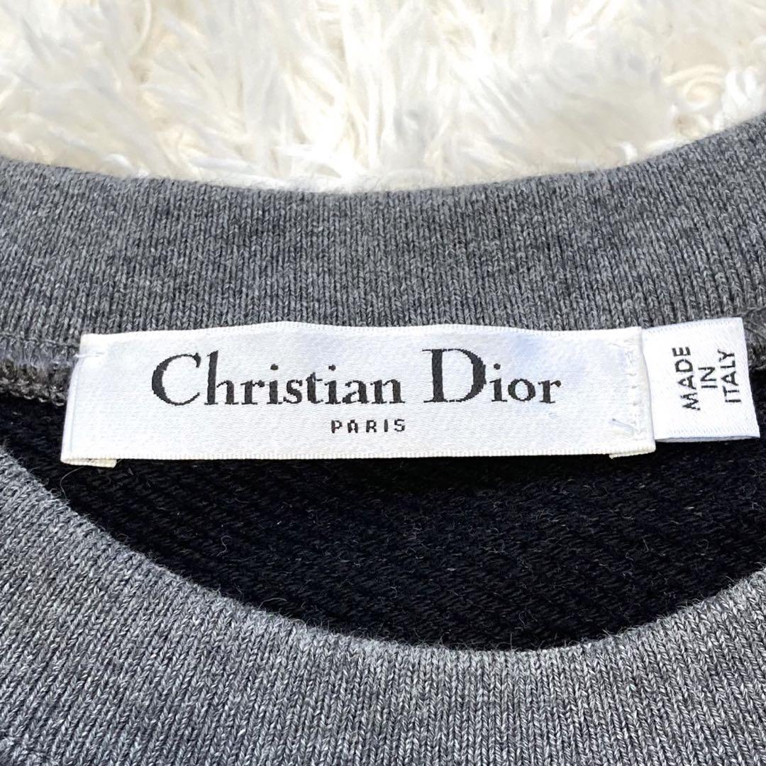 2020AW・美品］DIOR アムールグラフィティ トレーナー 刺繍ロゴ