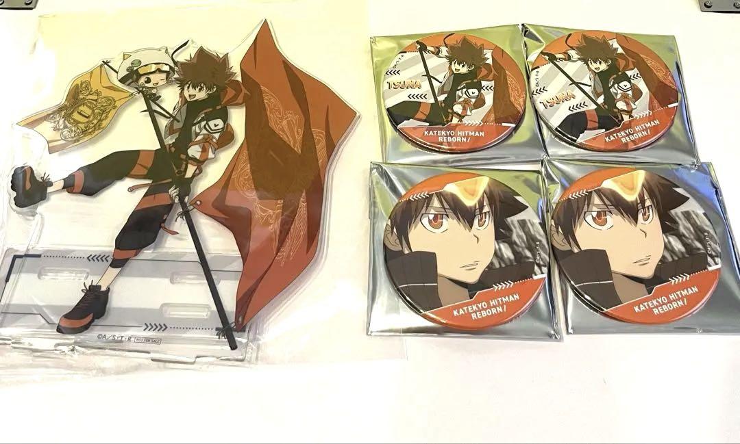 沢田綱吉　家庭教師ヒットマンREBORN　ラッキー缶バッジくじBOXvol2 家庭教師ヒットマンREBORN! ラッキー缶バッジBOX 沢田綱吉