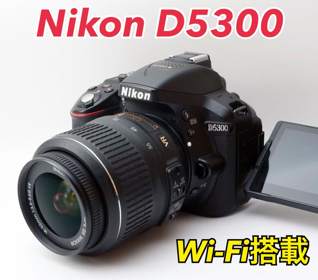 ★Nikon D5300★Wi-Fi搭載●初心者向け●カメラケース付き●