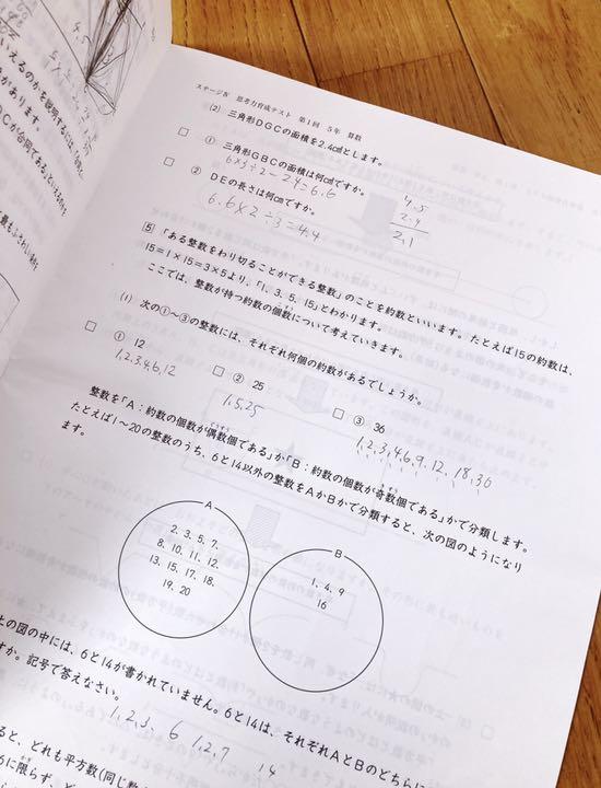 日能研 2019年度 5年生 後期 思考力育成テスト 第1回