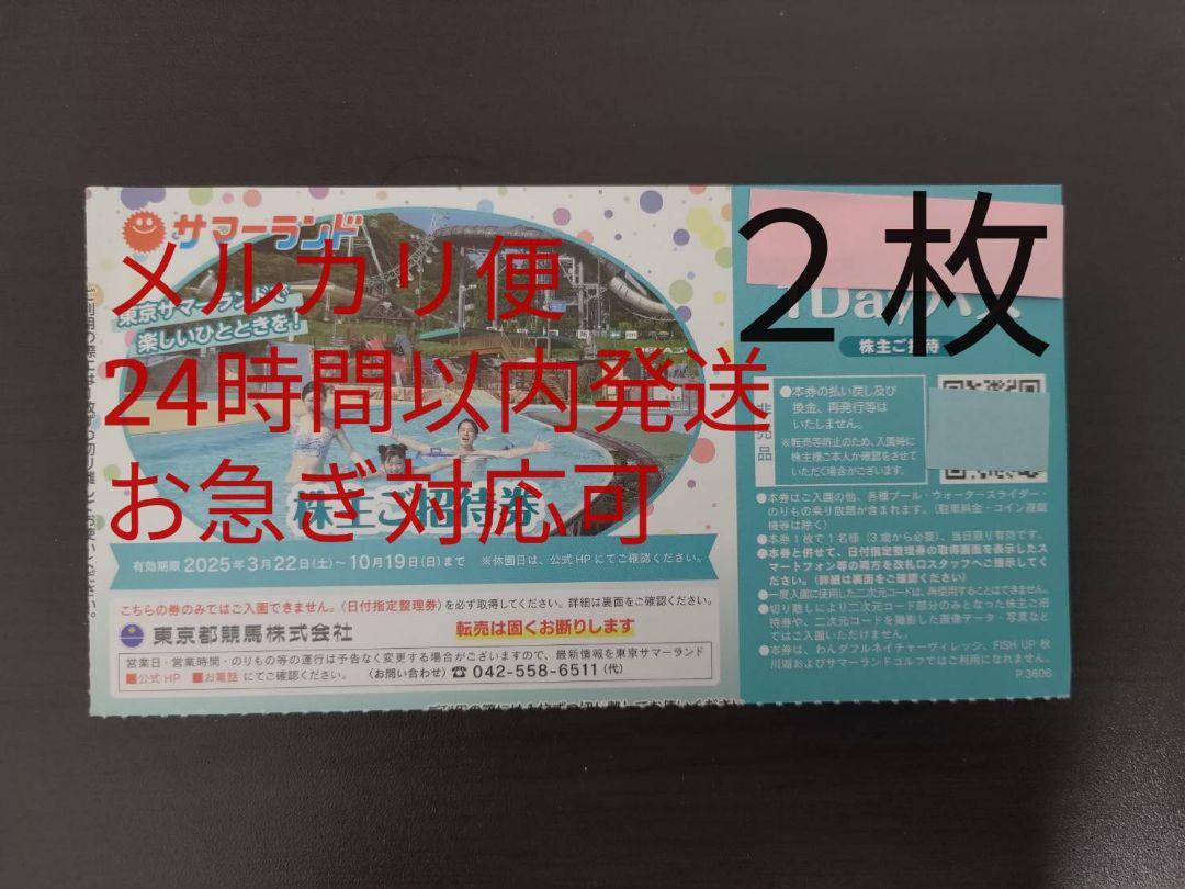 東京都競馬　東京サマーランド　1dayパス 2枚