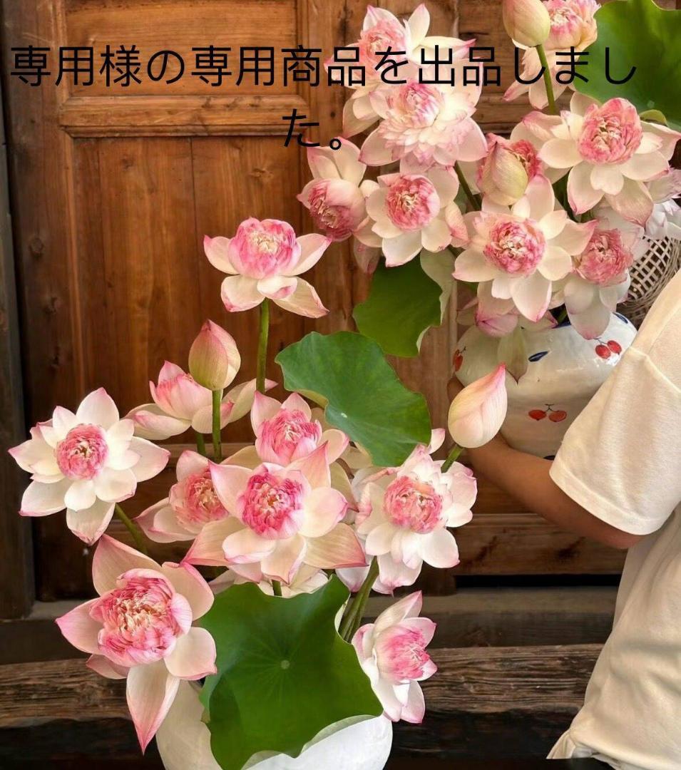 専用様の専用商品を出品しました。