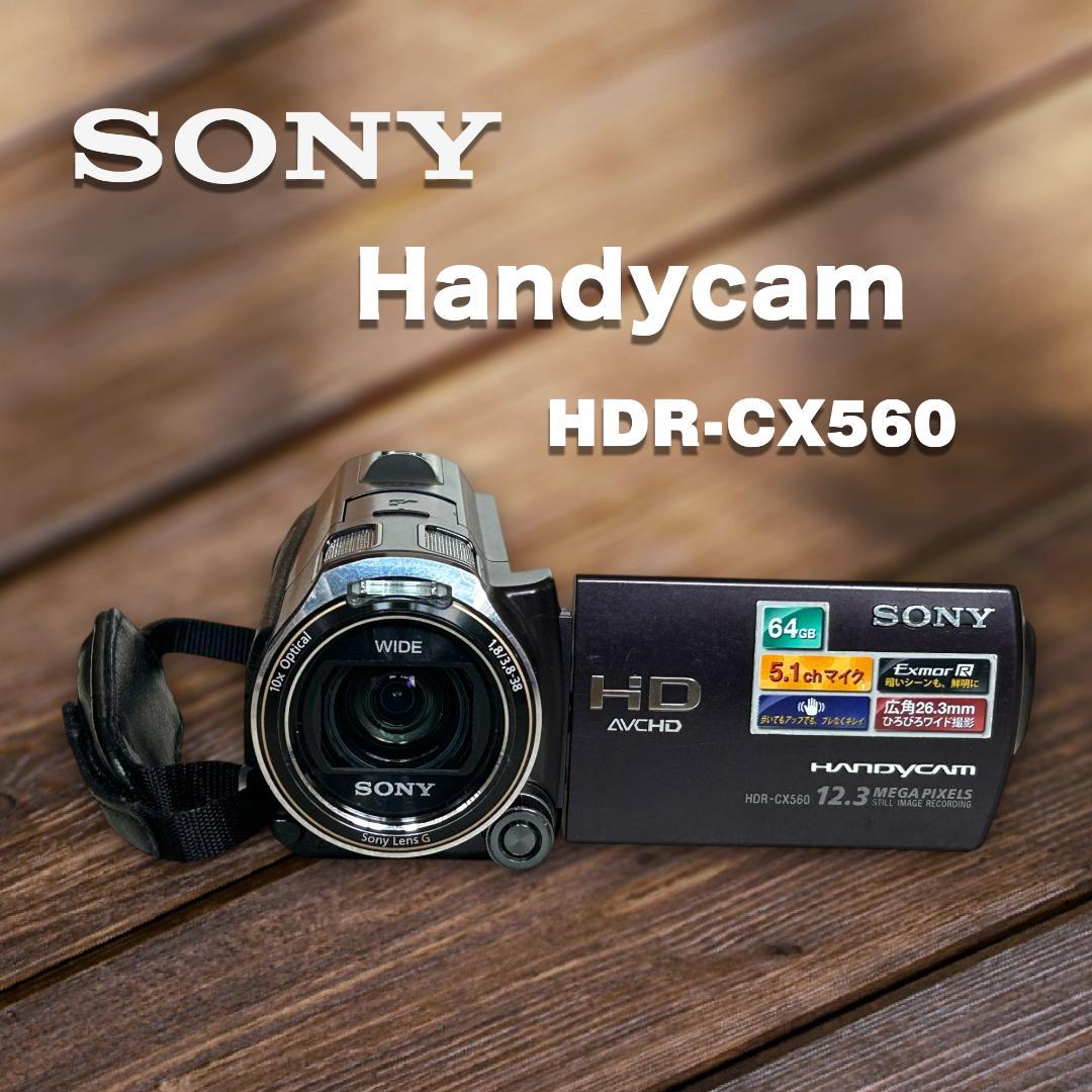 SONY ソニー　HD ハンディカム　HDR-CX560 ビデオ　カメラ HDR-CX560V | デジタルビデオカメラ Handycam ハンディカム | ソニー