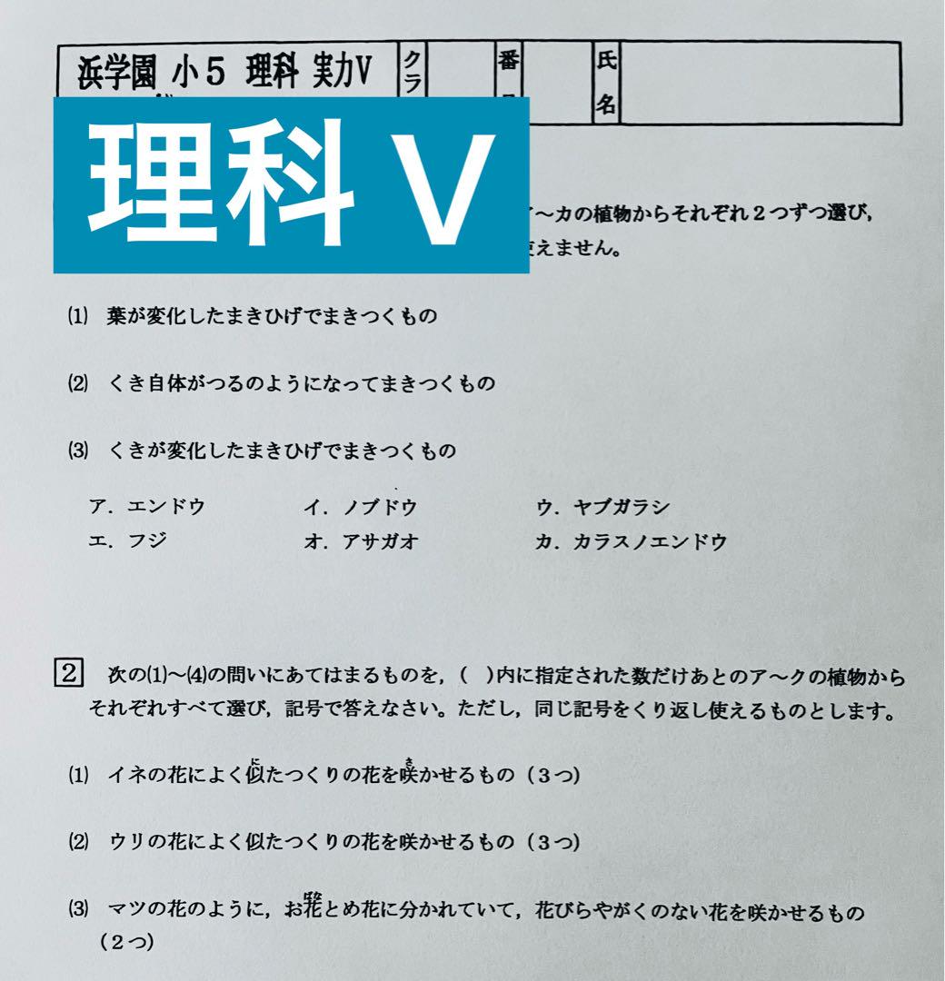 2024年度 浜学園 小5 マスター Vクラス 復習テスト 選べる20回