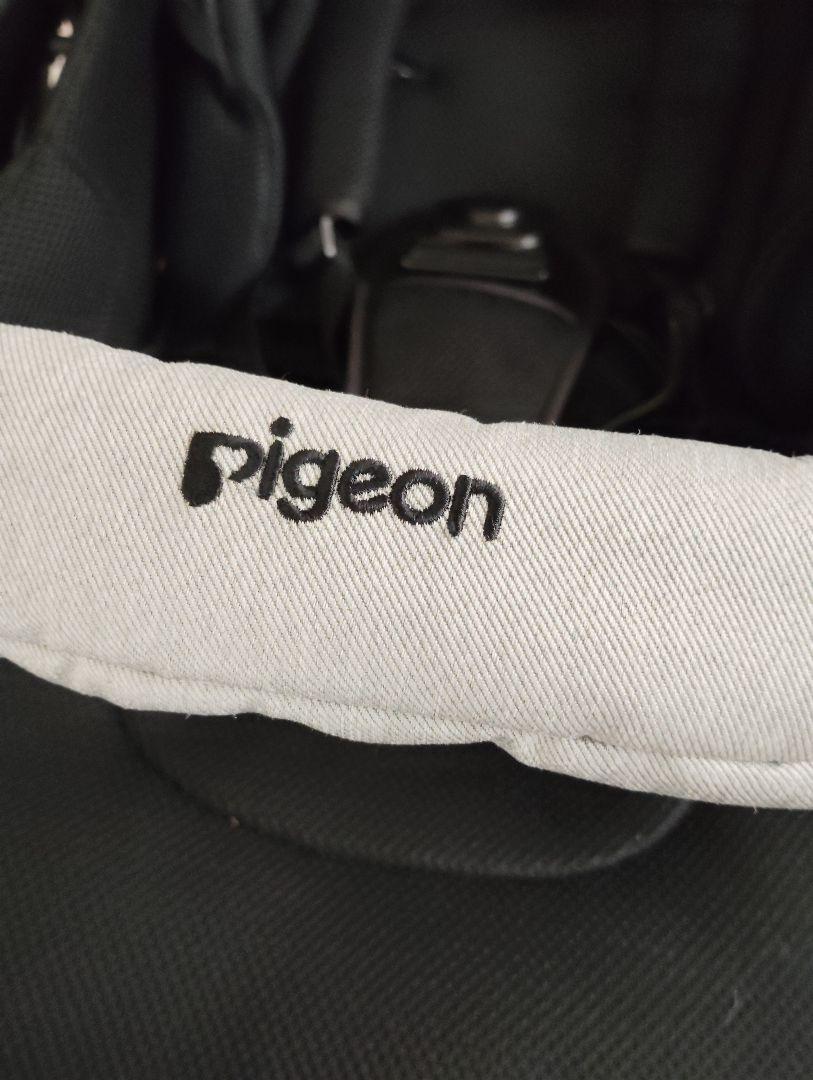 Pigeon