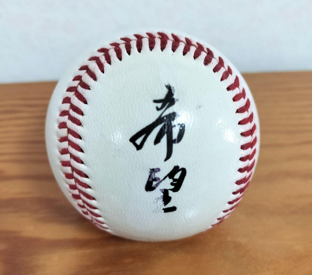 真如苑グッズYHSボールY S