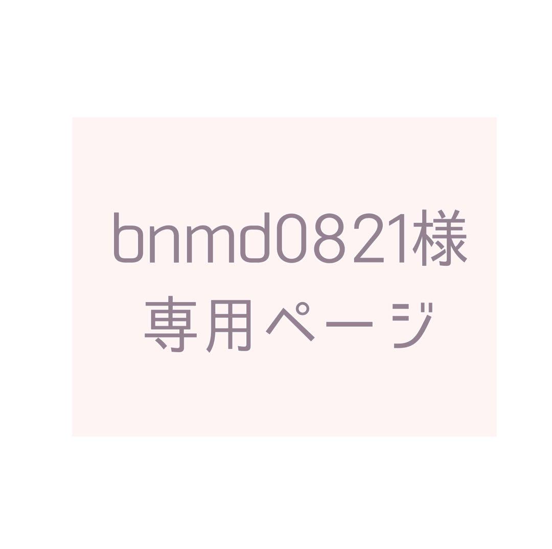 専用ページ