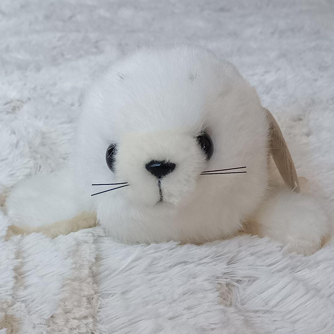 アドベンチャーワールド公式ゴマフアザラシ ぬいぐるみ