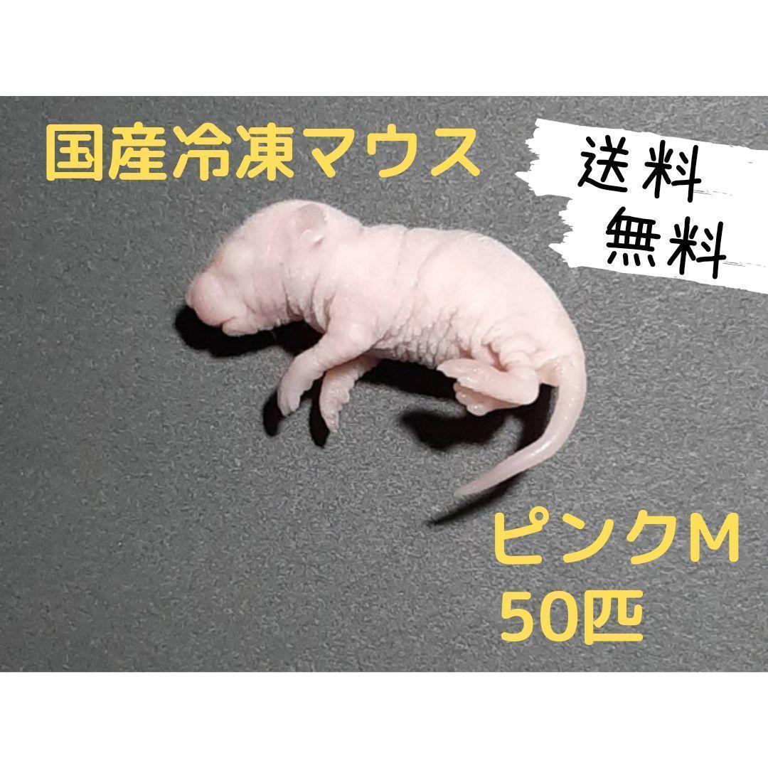国産 冷凍マウスアダルト L 50匹 (一部地域発送不可) 国産冷凍マウス ピンクL 50匹(送料無料一部地域発送不可) - メルカリ