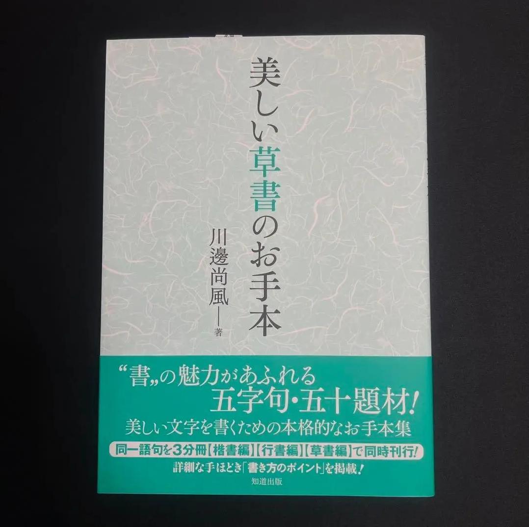 DJ HP 美しい草書のお手本 川瀬尚風 AQ SS