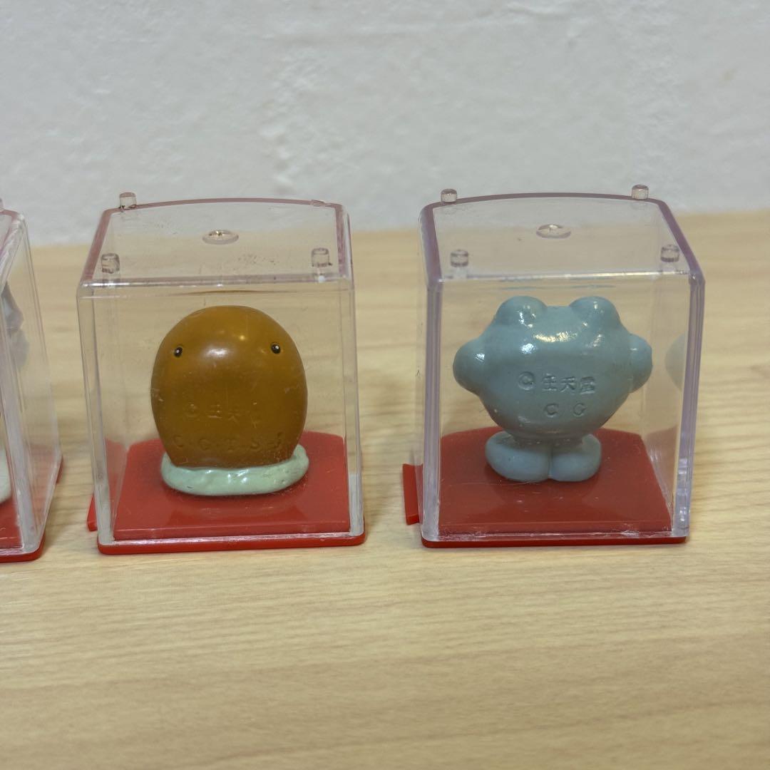 ポケモン ケース入りコレクション 5体セット