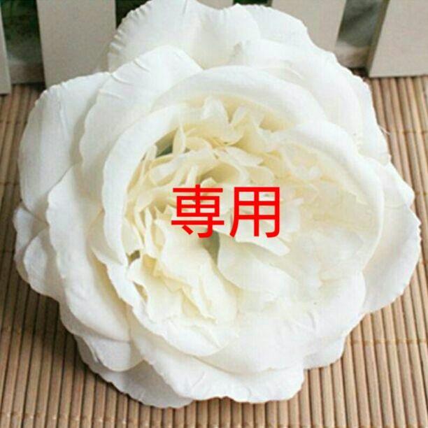 全国一律送料無料 ♥再販 髪飾り 前撮り 成人式 結婚式 ドライフラワー hotelpr.co.uk 全国一律送料無料 ♥再販 髪飾り 前撮り 成人式 結婚式 ドライフラワー hotelpr.co.uk