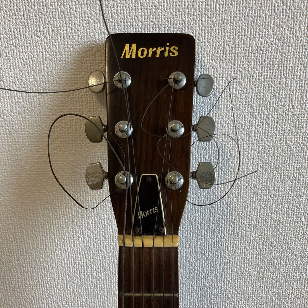 MORRIS アコースティックギターW20