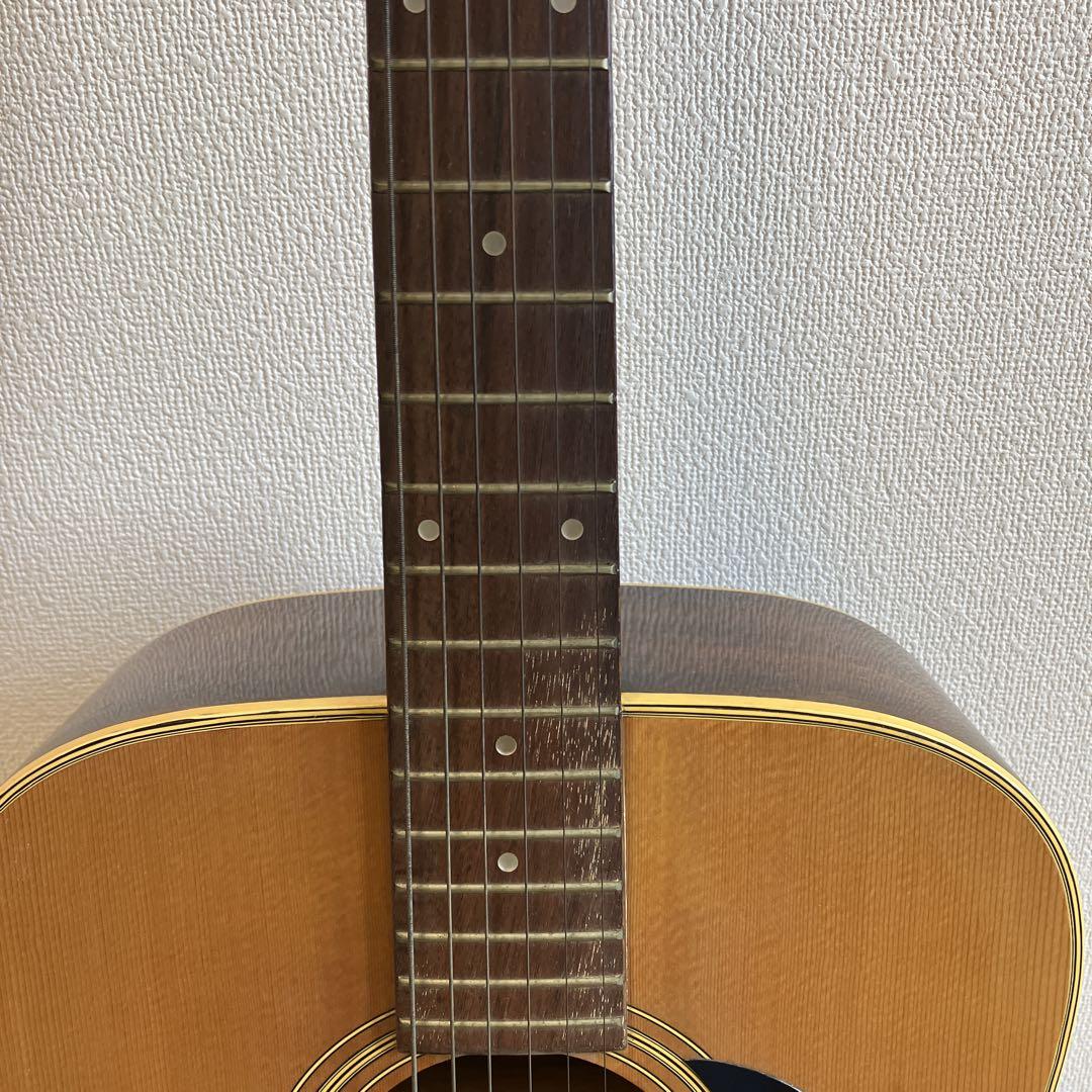 MORRIS アコースティックギターW20