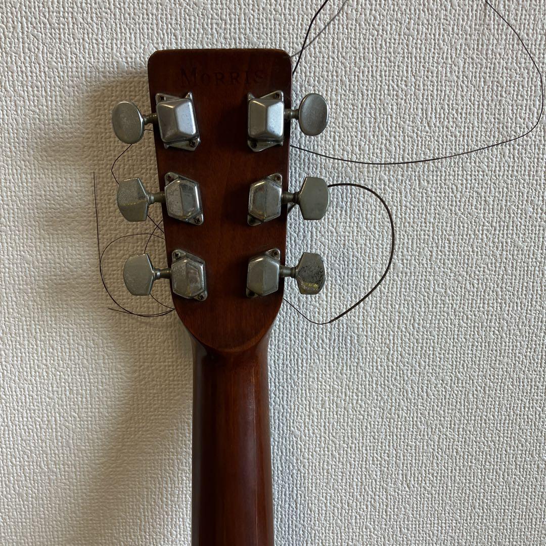 MORRIS アコースティックギターW20