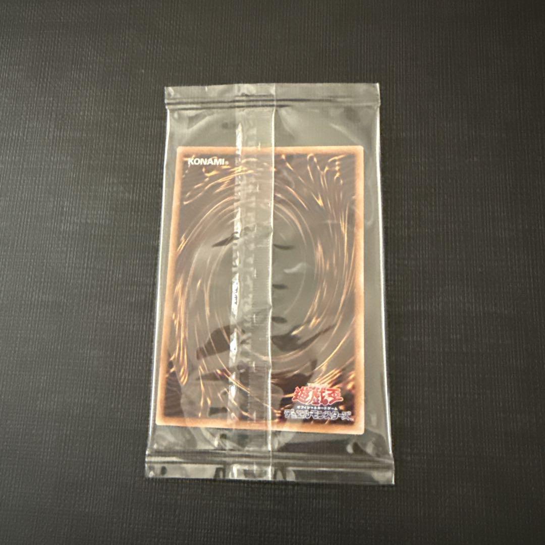 遊戯王 カオスソルジャー カオス・ソルジャー －開闢の使者