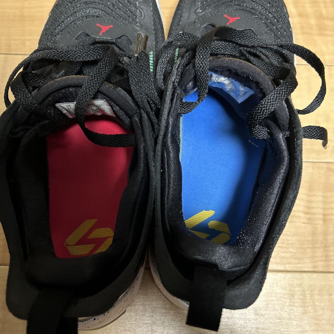 Jordan ルカ1 29センチ　中古
