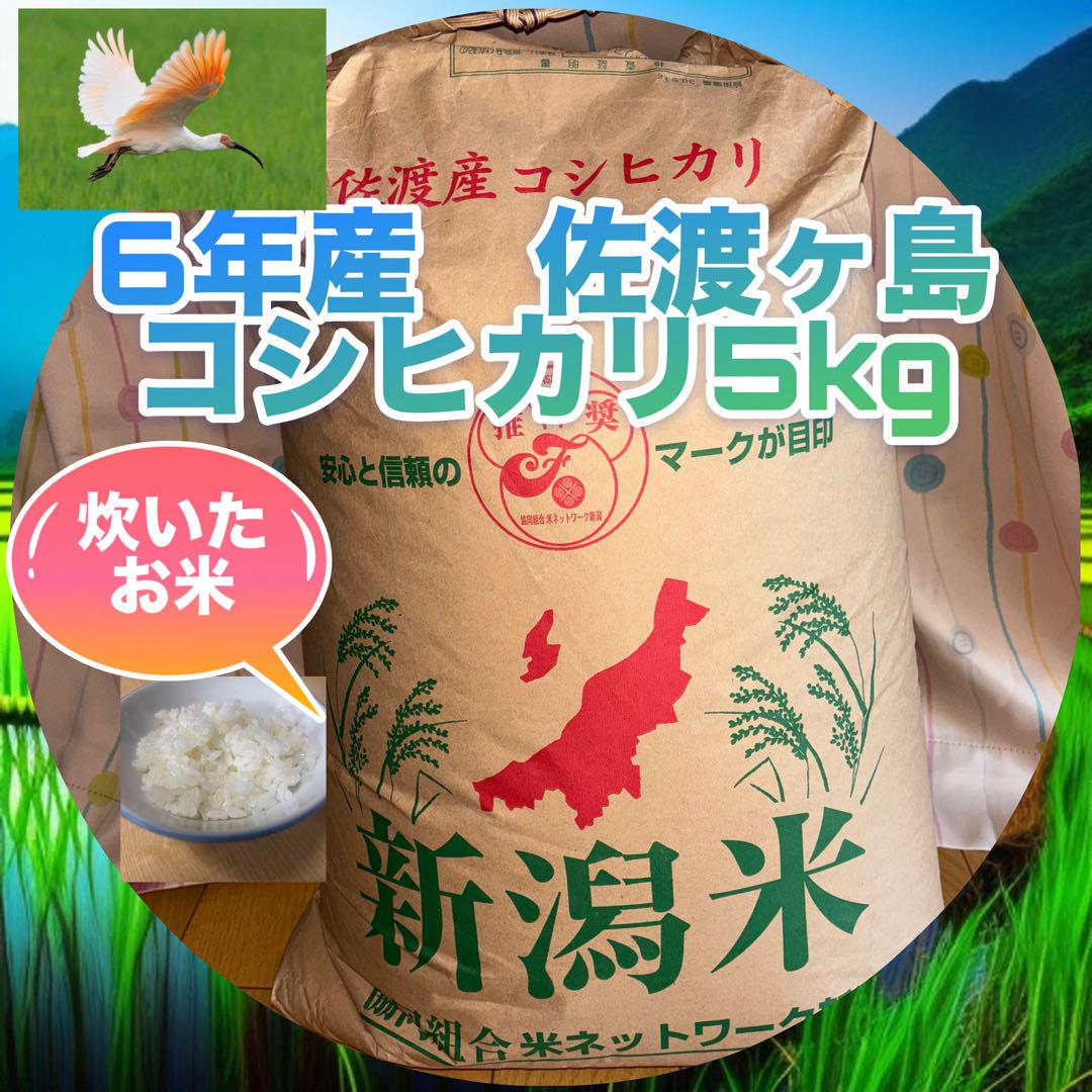 ②6年産 佐渡産コシヒカリ5kg 精米 6,800円