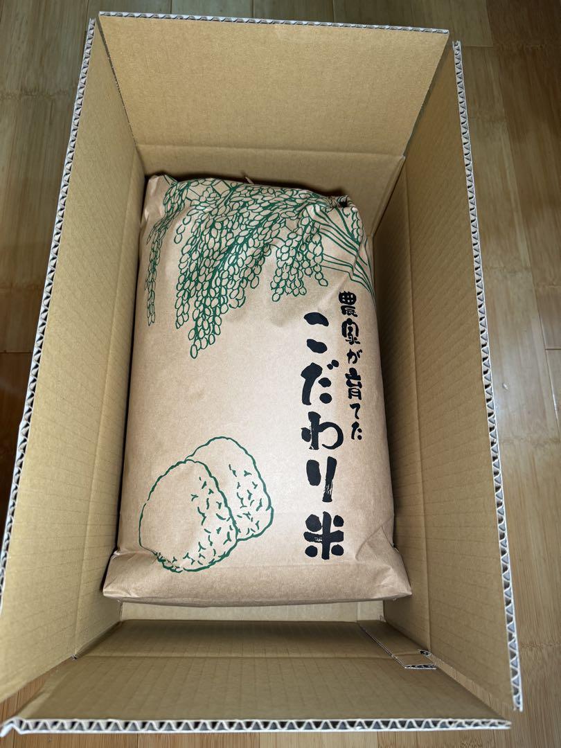 令和6年 新米 コシヒカリ 10キロ 玄米 群馬県産 送料込