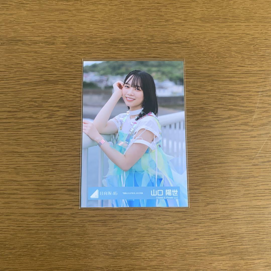 山口陽世 生写真 324枚 81コンプ +おまけ 日向坂46 山口陽世 生写真 セミコンプ - メルカリ
